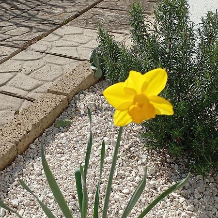 B&B Villa Alma San Costanzo Экстерьер фото